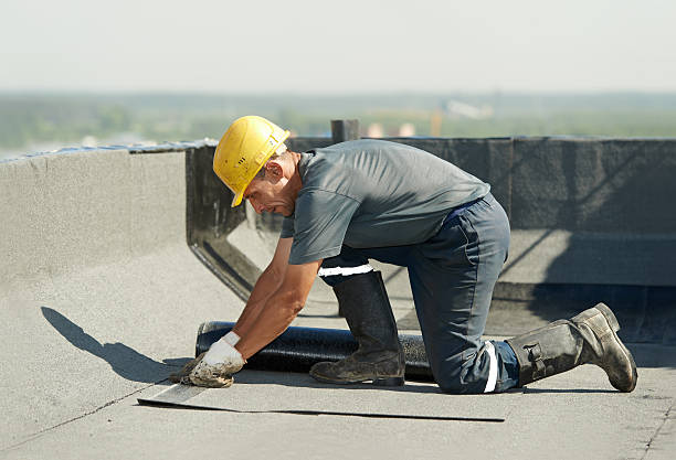 Best Attic Insulation Installation  in New Haven, IN