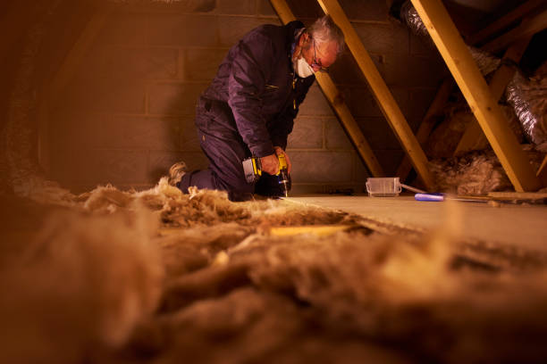 Best Insulation Contractors for Homes  in New Haven, IN